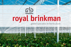 Présentation du nouveau logo de Royal Brinkman