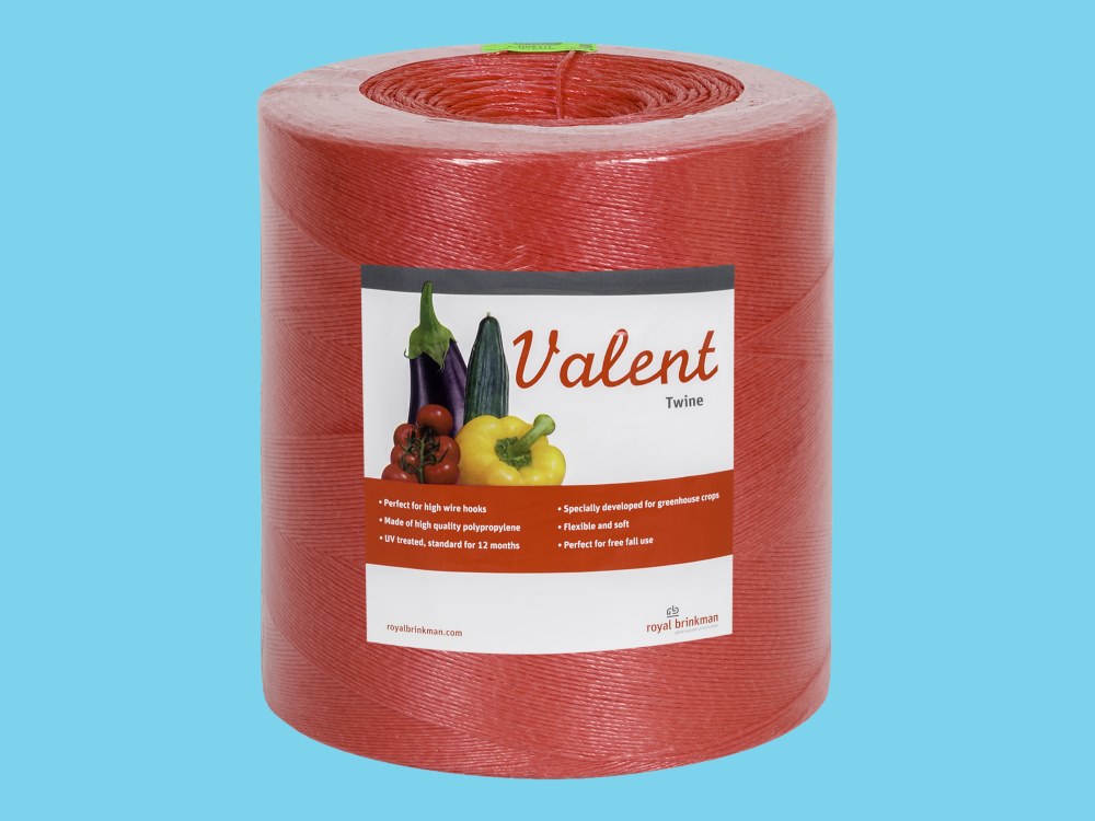 Ficelle Valent Rouge 1/1200 6 kg